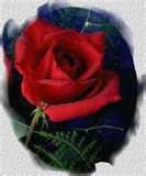 Fotolog de lascosascomoson: JAJA